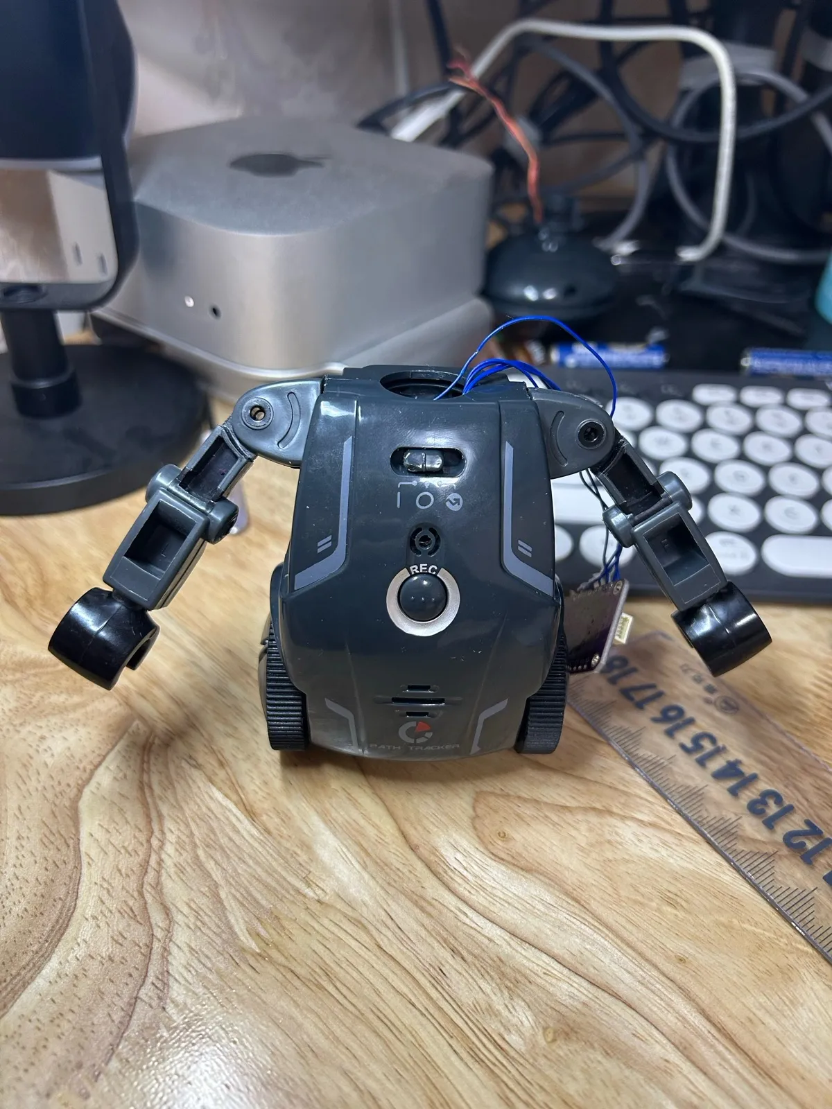 The body with the head removed